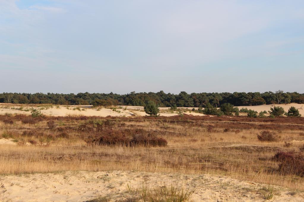 Natuurpoort Van Loon Loon op Zand Екстериор снимка